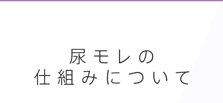 尿モレの仕組みについて