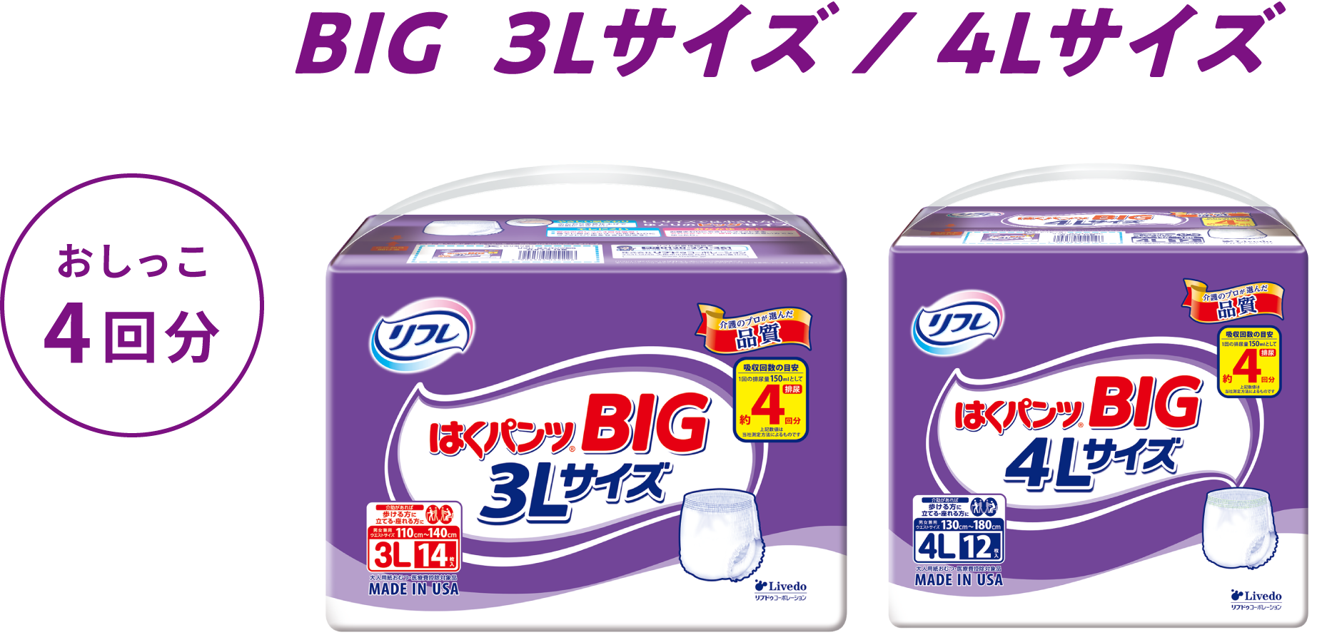 おしっこ4回分 はくパンツBIG