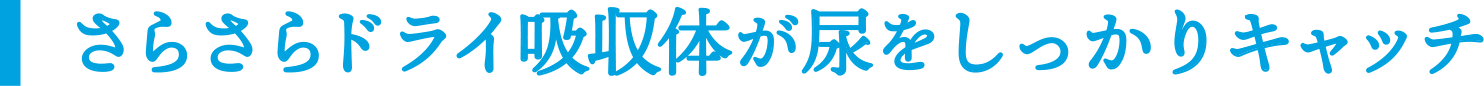 さらさらドライ吸収体