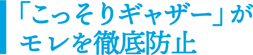 「こっそりギャザー」がモレを徹底防止