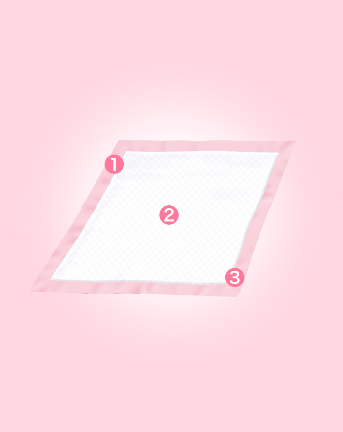 ds-2480775 リブドゥコーポレーション リフレ 簡単テープ止め 横モレ防止 大きめL 22枚 66枚(22枚×3パック) (ds2480775) ds-2480775 リブドゥコーポレーション リフレ 簡単テープ止め 横モレ